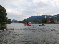 Dunajec